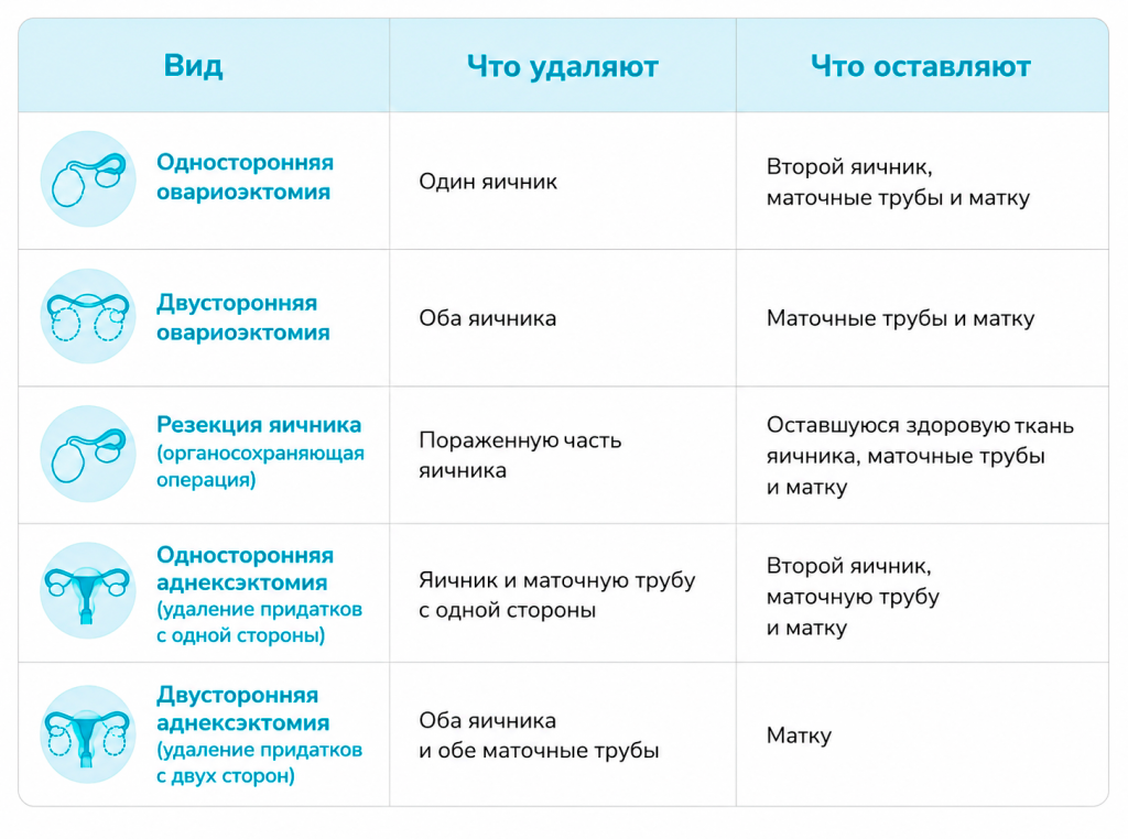 СТАТЬЯ 7.png